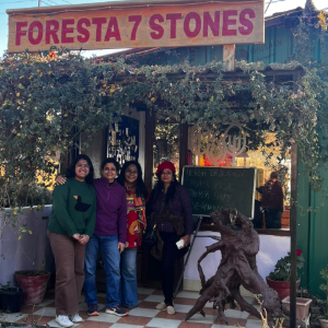 Foresta 7 Stones (1)